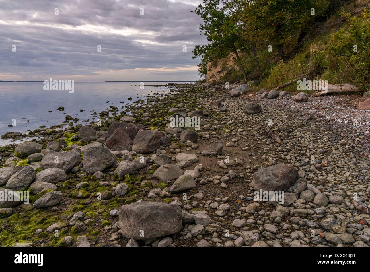 Serata sulla costa di Jasmunder Bodden, sulla spiaggia di ciottoli vicino a Lietzow, Meclemburgo-Pomerania occidentale, Germania Foto Stock