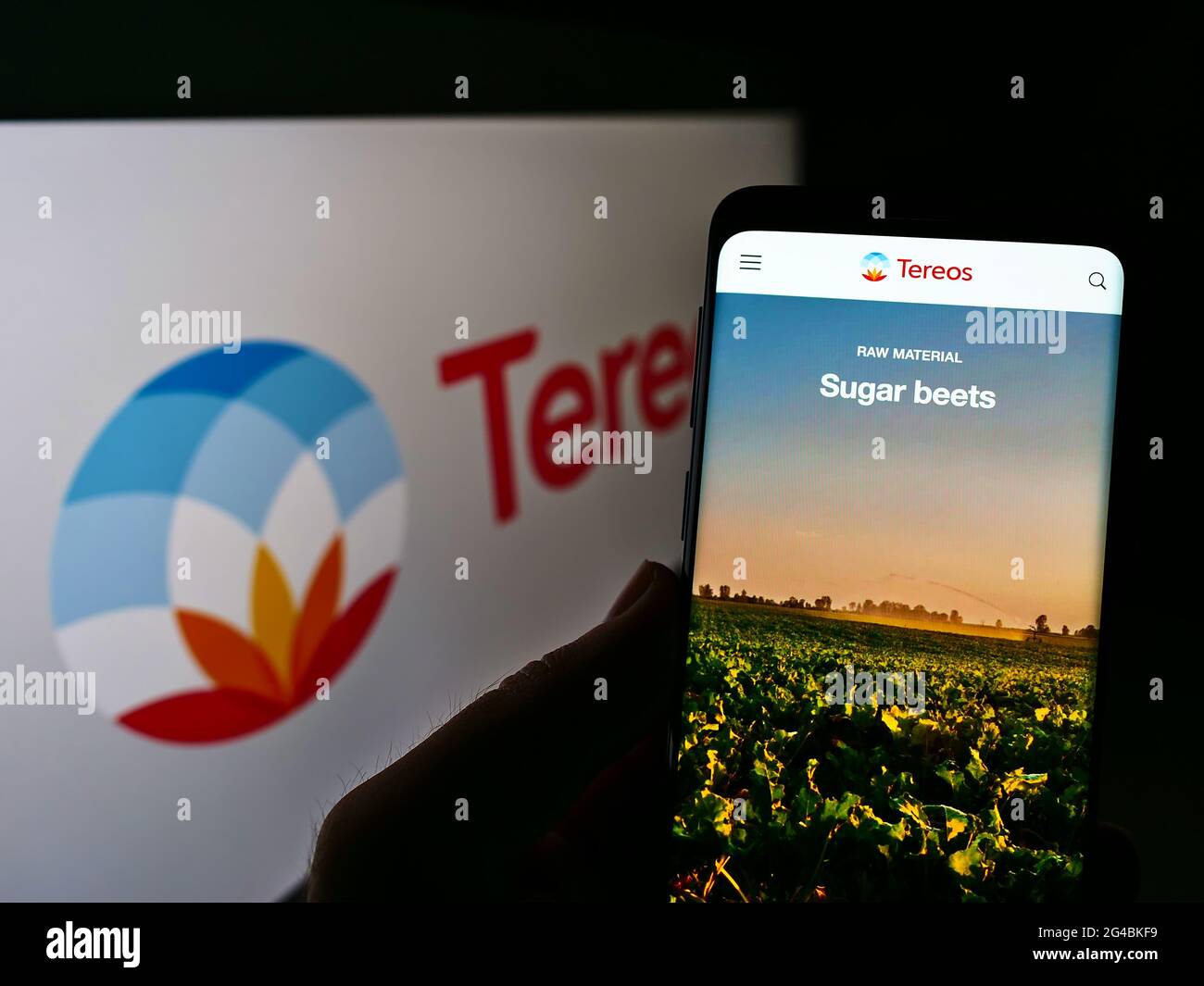 Persona titolare smartphone con pagina web della società agricola francese Tereos S.A. sullo schermo davanti al logo. Mettere a fuoco il centro del display del telefono. Foto Stock