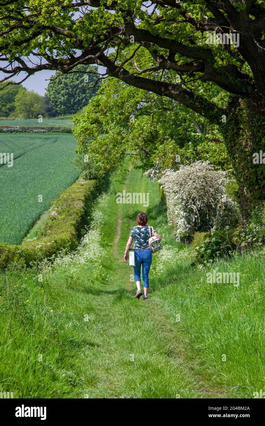 Donna che cammina lungo un sentiero verde nella campagna del Northumberland tra Corbridge e Hexham lungo la strada della valle del Tyne Foto Stock