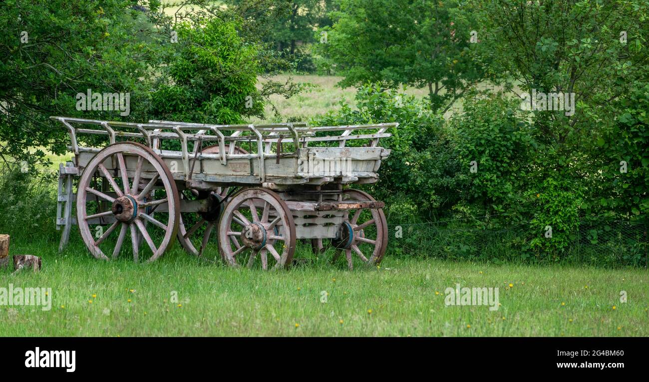 Un cavallo d'epoca trainato in legno farm vagone all'angolo di un campo Foto Stock