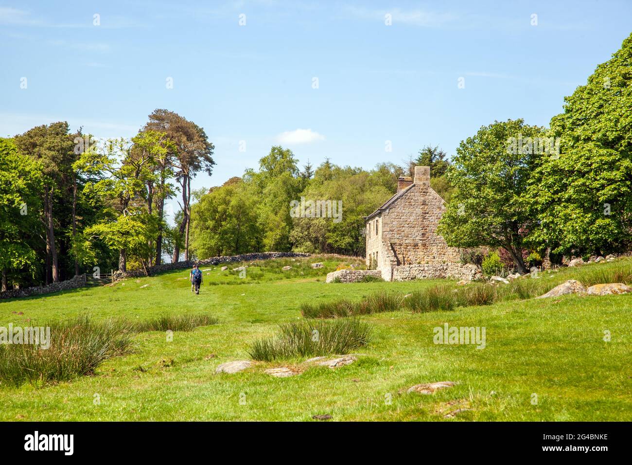 Passerai accanto alla vecchia casa colonica mentre passeggi lungo sentiero nazionale delle mura adriane nel Northumberland Inghilterra Foto Stock