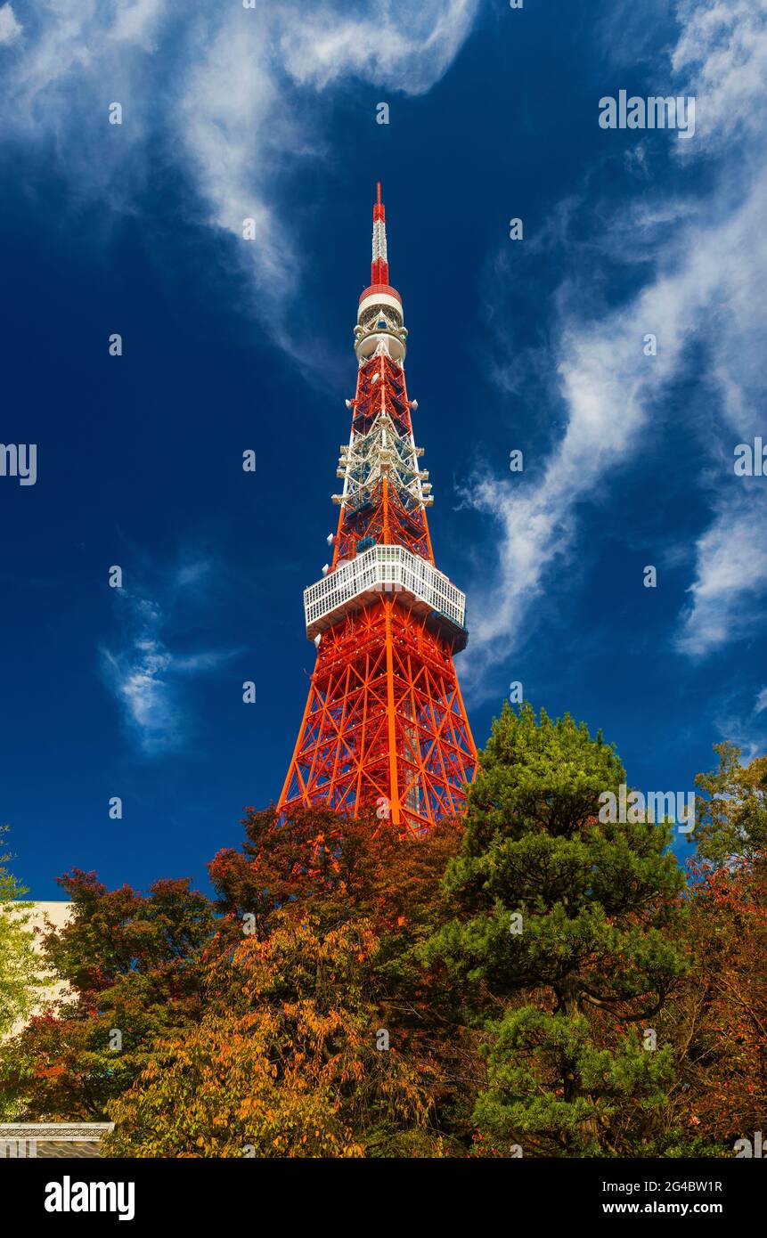 Autunno in Giappone. La Torre di Tokyo sorge su foglie autunnali tra nuvole vorticose Foto Stock