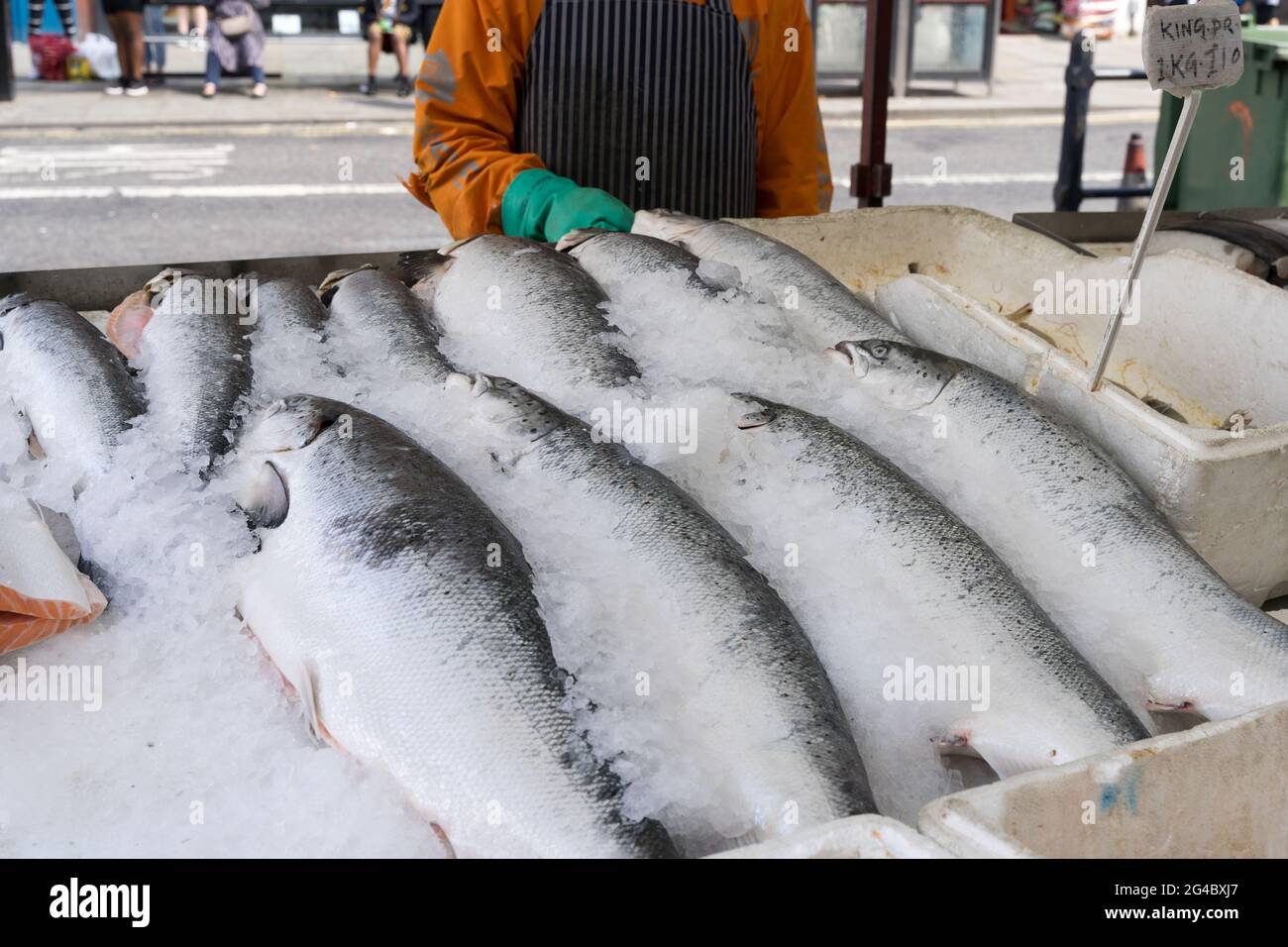 Esposizione di salmone intero su ghiaccio per la vendita al market stall, monger di pesce, Londra greenwich, Inghilterra Foto Stock