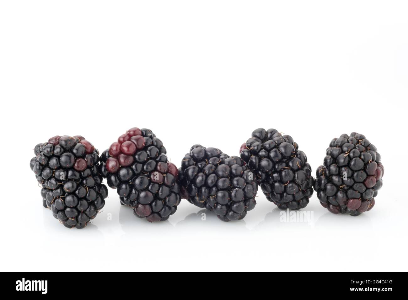bacche nere isolate su bianco, primo piano di cinque frutti, disegno per copistare spazio o etichetta Foto Stock