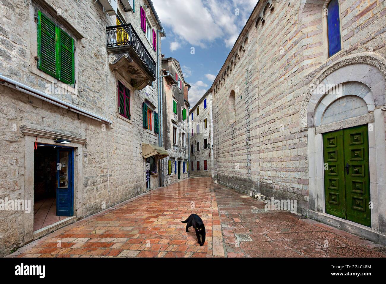Case storiche con finestre colorate e un gatto nero nella stretta strada nella città vecchia di Cattaro, Montenegro Foto Stock