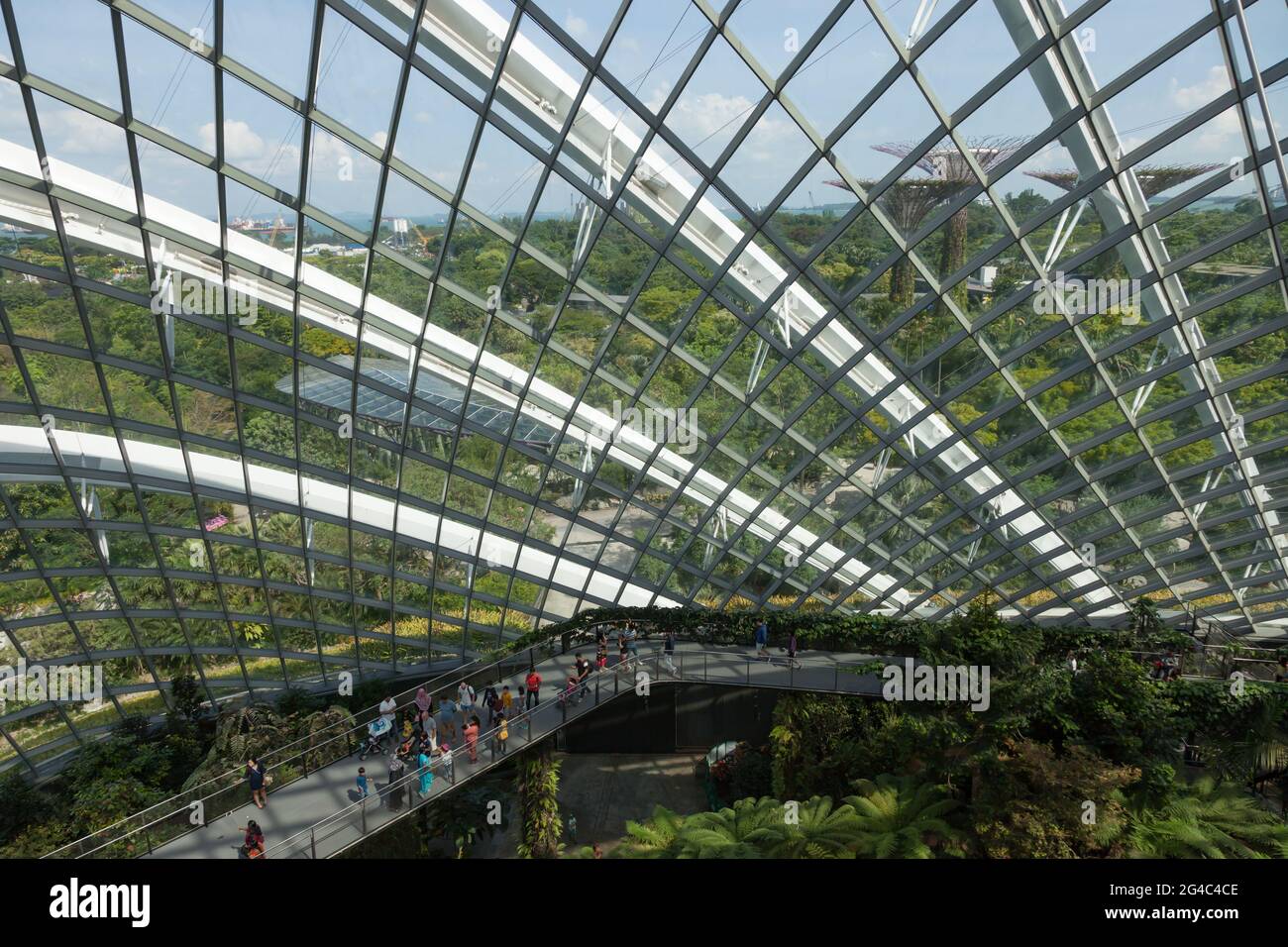 I visitatori esplorano il Flower Dome, un'enorme serra che contiene piante esotiche nei Gardens by the Bay, Singapore Foto Stock