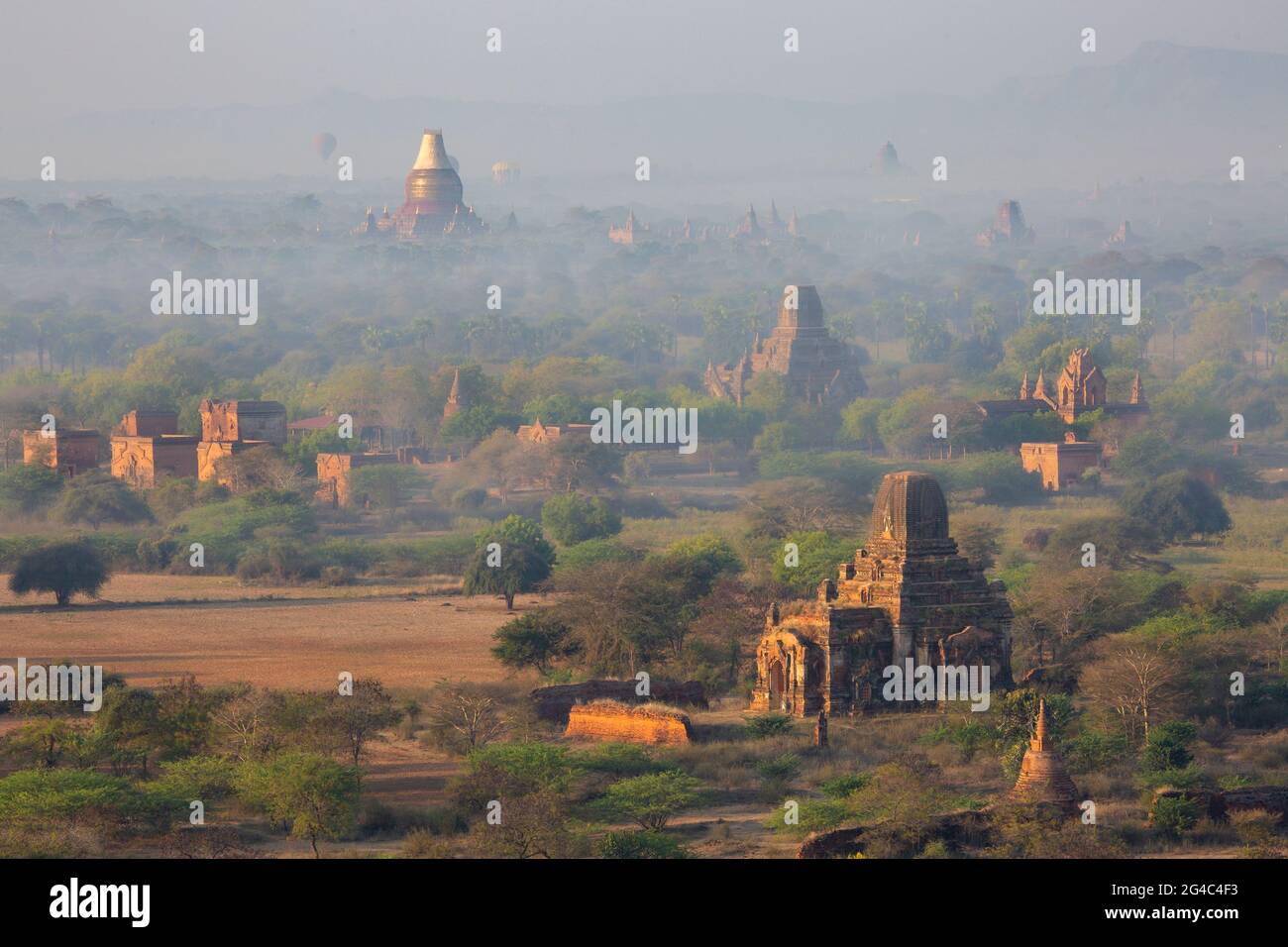 Pagode all'alba a Bagan, Myanmar Foto Stock