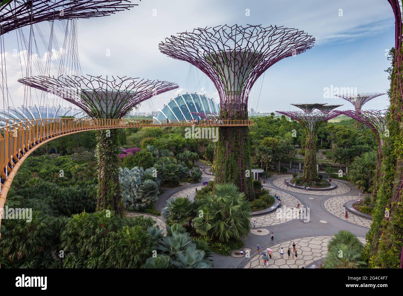 Vista in alto dell'iconico Supertree Grove e della passerella pedonale nei Giardini di Singapore presso la Baia. Foto Stock
