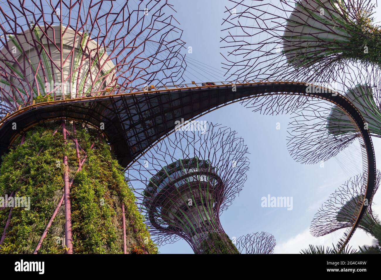 I visitatori attraversano i passaggi sopraelevati nell'iconico Supertree Grove di Singapore, Gardens by the Bay Foto Stock