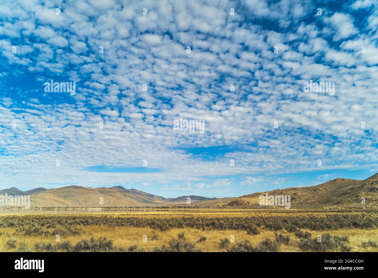 Splendido paesaggio arida e ondulata delle colline nel nord della California Foto Stock