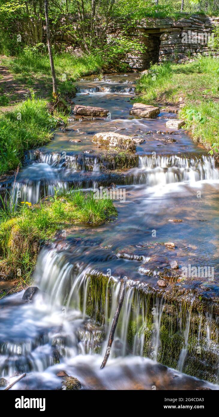 Martorpsfallet Waterfall, Creek che decade nella foresta su roccia calcarea Foto Stock