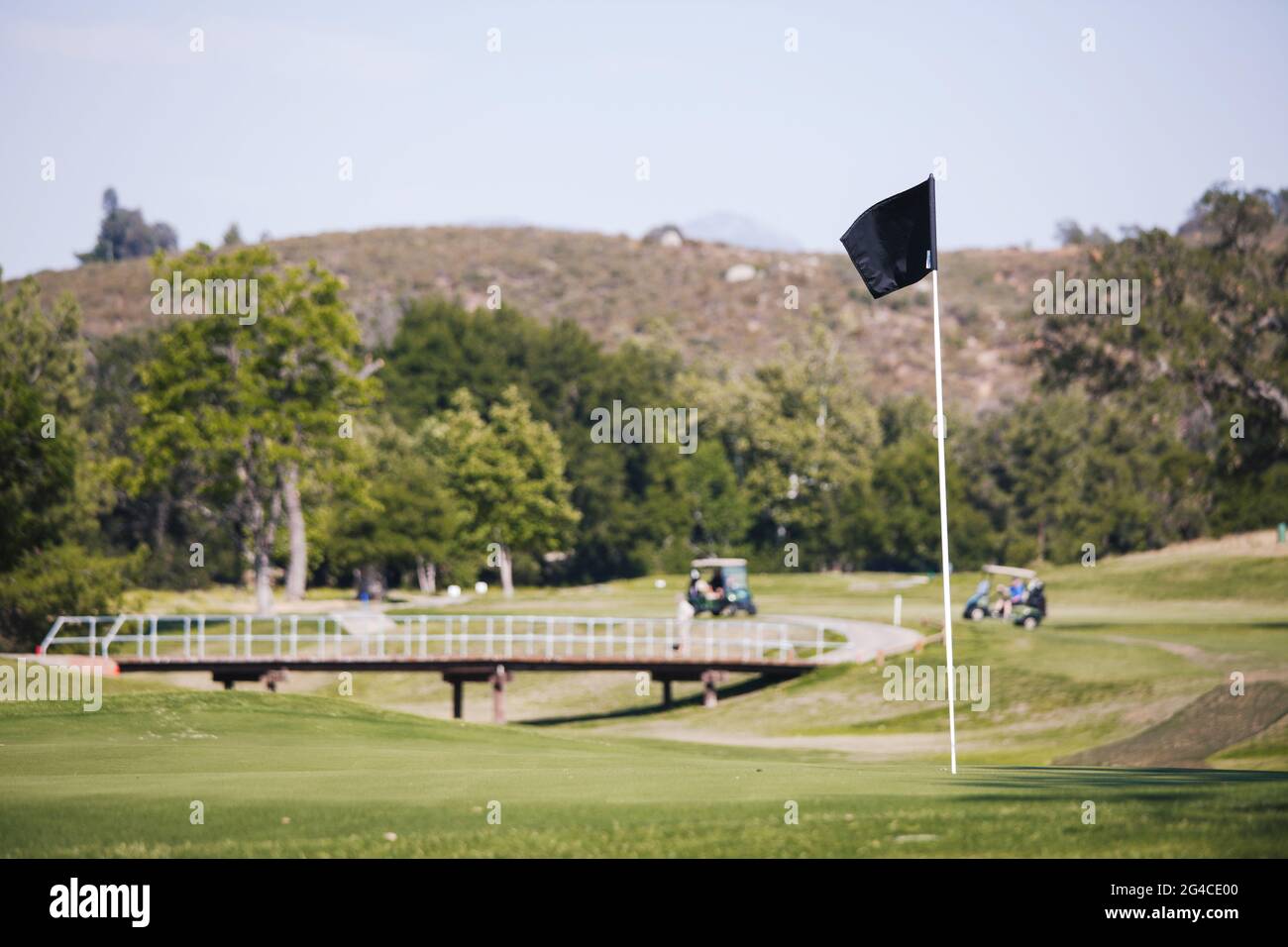 Campo da golf - prestito verde con golf cart, ponti, giardini, club e golfisti. Foto Stock