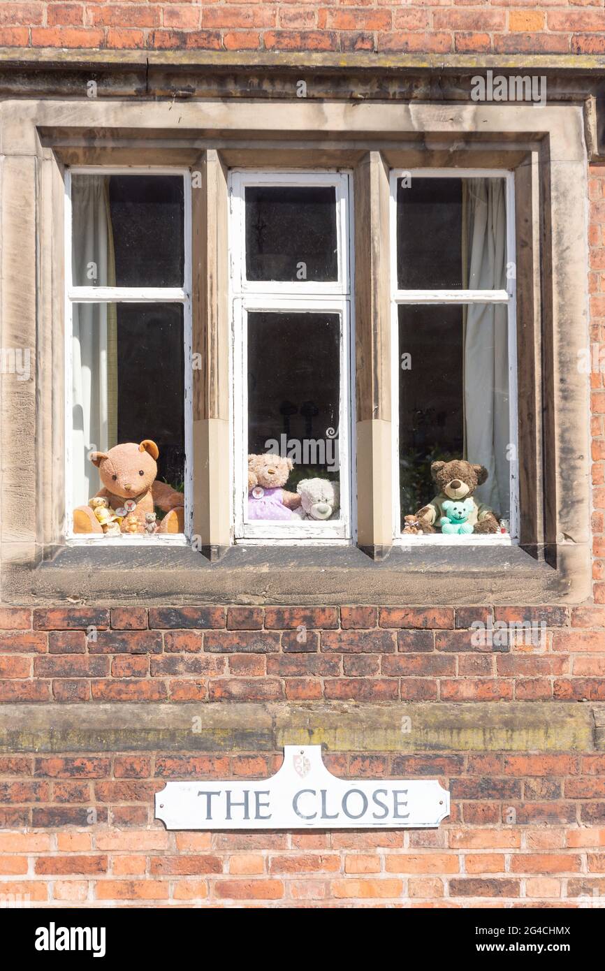Teddy Bears in casa finestre, The Close, Lichfield, Staffordshire, Inghilterra, Regno Unito Foto Stock