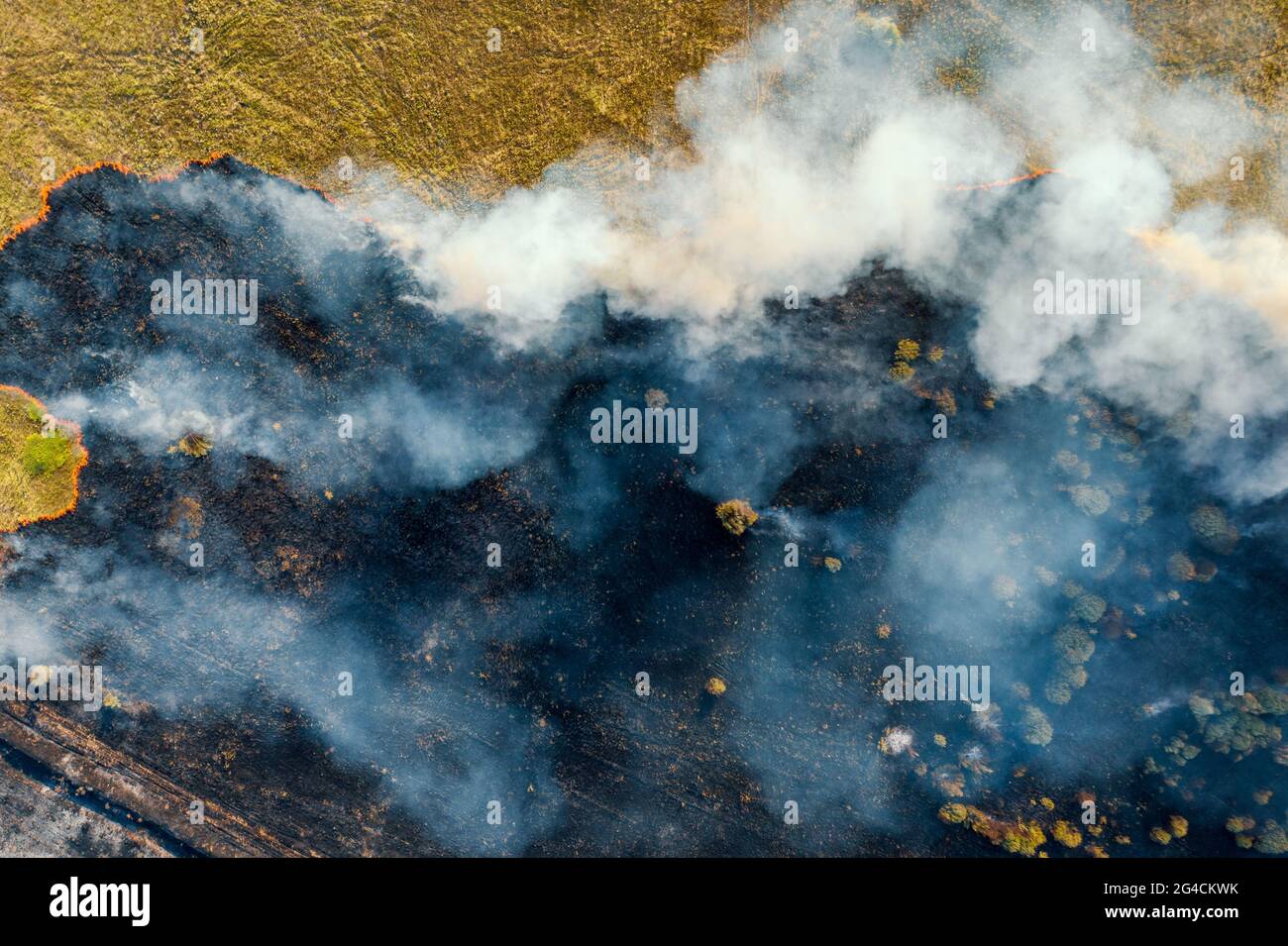 Erba che brucia con fuoco e fumo. Fuoco forestale, vista aerea dall'alto dal drone. Foto Stock
