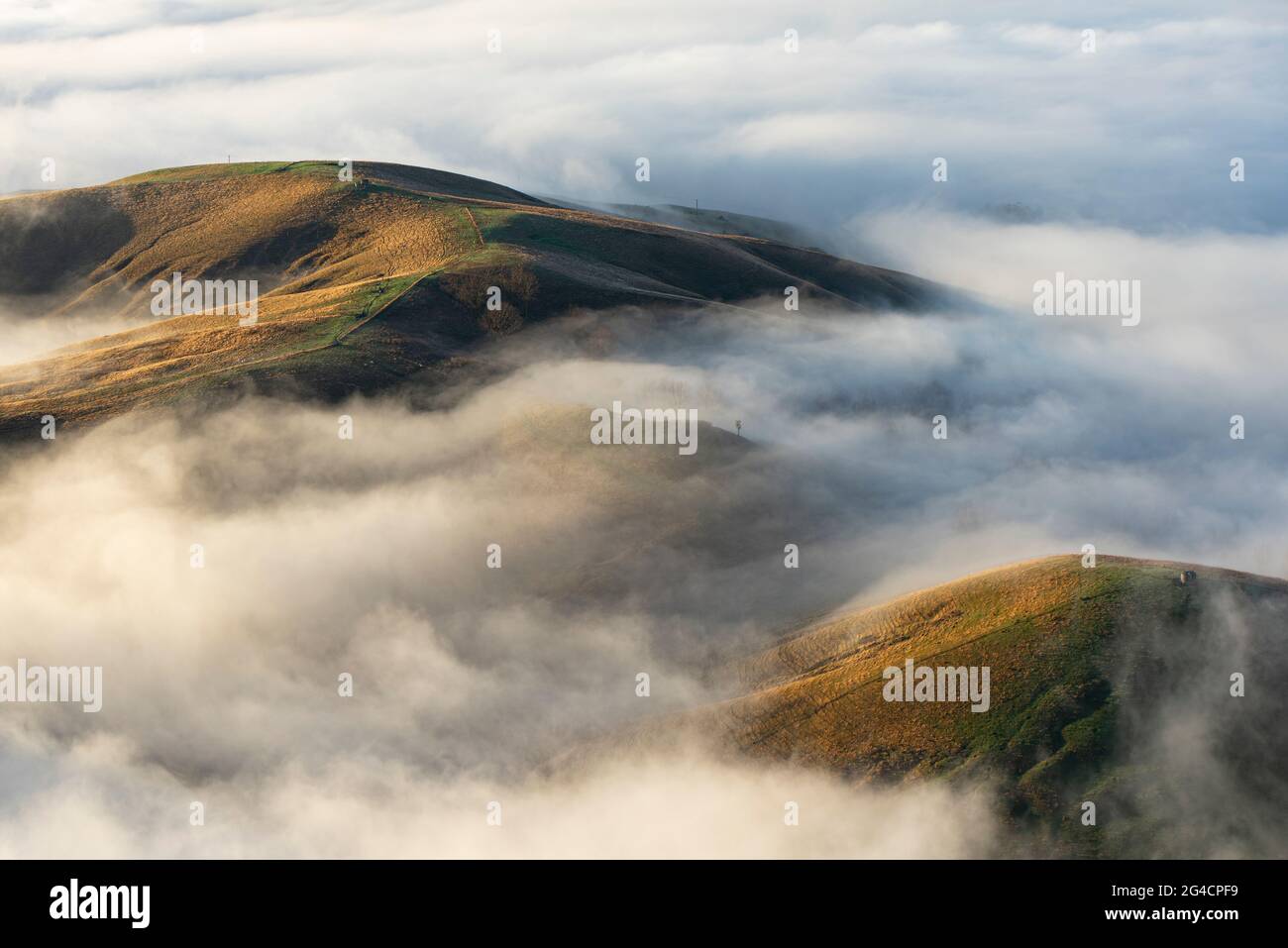 Alba e nebbia mattutina, te Mata Peak, Hawke's Bay, Nuova Zelanda Foto Stock
