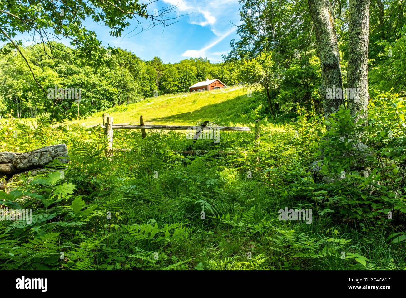 Un vecchio campo agricolo e fienile rosso vicino Connor Pond a Petersham, Massachusetts Foto Stock