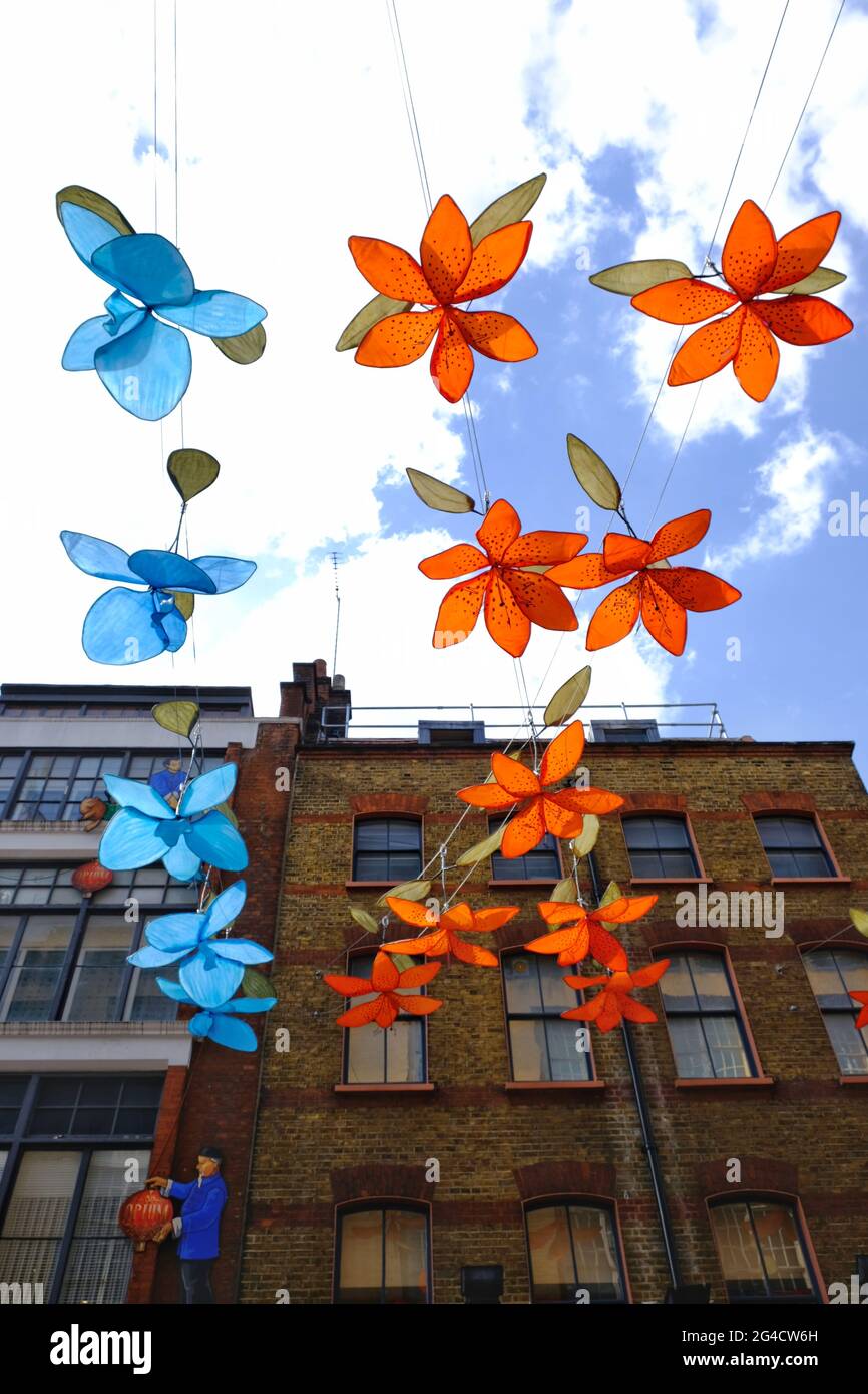 Le orchidee azzurre e l'arancio di Tiger Lily sono appesi nella Chinatown di Londra come parte del 'Giardino Botanico' in mostra. Foto Stock