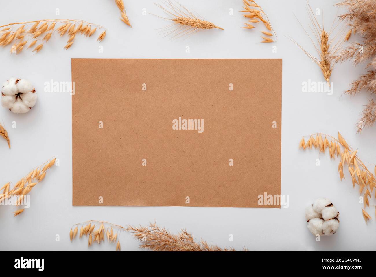Tinta beige terroso bianco carta artigianale nota invito mockup con Mockup fiori di cotone secchi cereali. I notepad Mockup marroni sono vuoti per il saluto Foto Stock