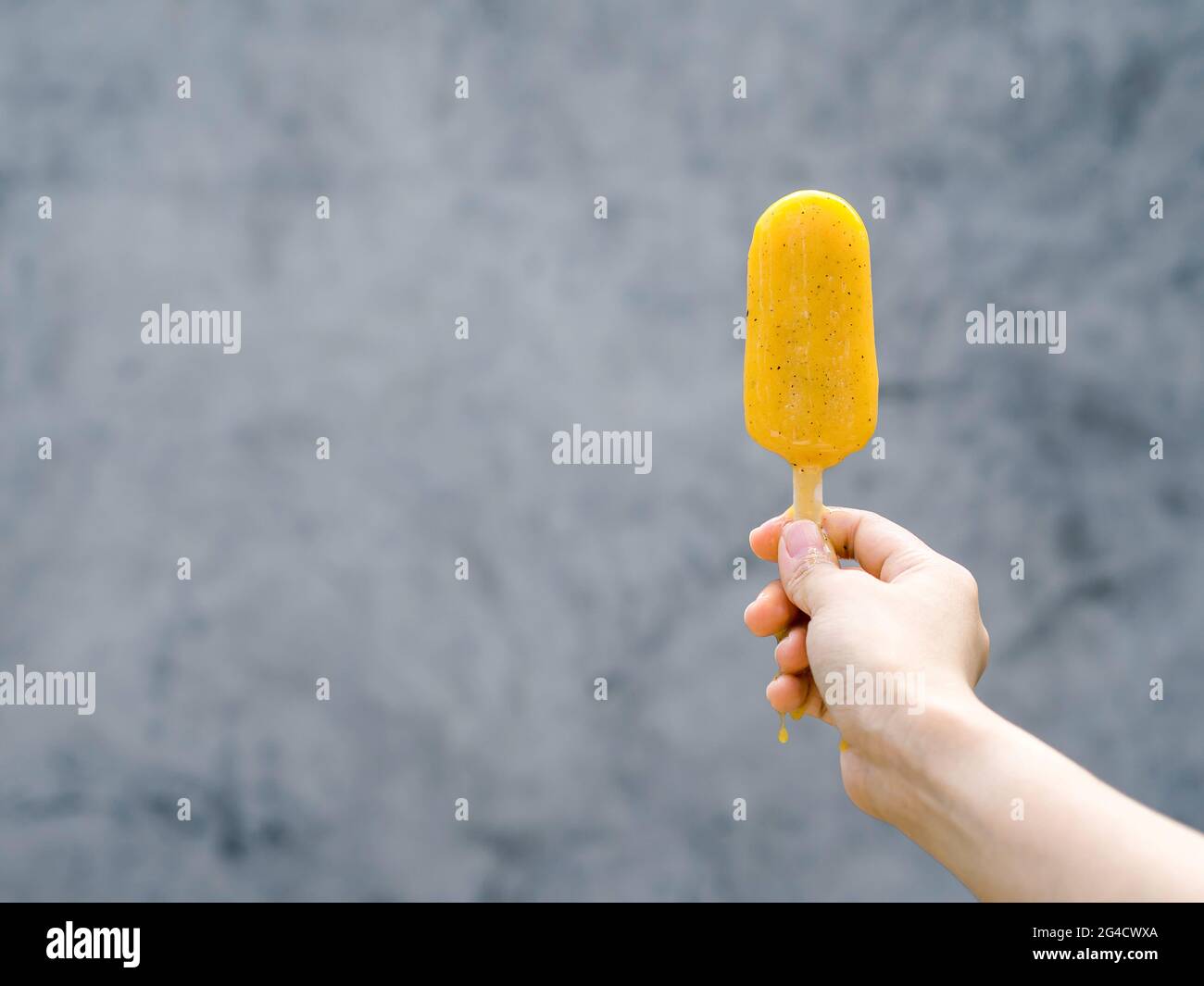 Popsicle giallo in mano donna su sfondo grigio parete con spazio copia, estate. Mano femmina che tiene il pop ghiacciato giallo del fungo congelato. Foto Stock