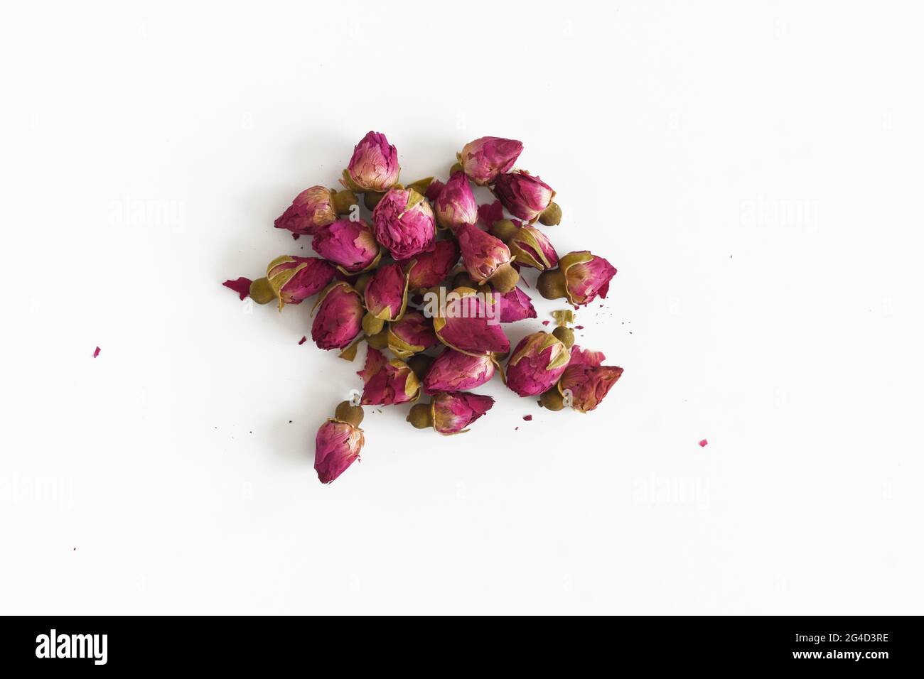 Boccioli di rosa essiccati su sfondo bianco isolato Foto Stock