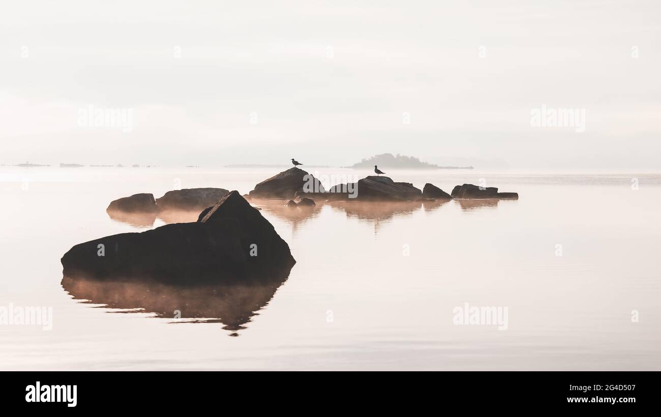 Due uccelli si siedono sulle rocce una mattina presto sul Mar Baltico quando una notte fredda diventa una mattina soleggiata e calda e trasforma l'acqua in un mare fumante Foto Stock