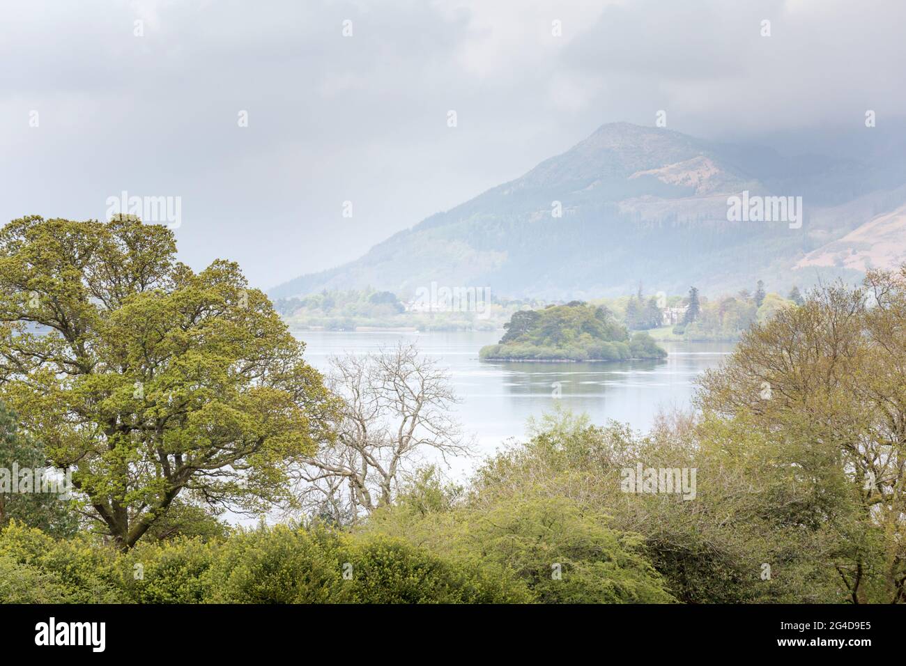 Ammira il bosco fino all'acqua di Derwent e le campane lontane in una nocciola giornata estiva nel Lake District inglese Foto Stock