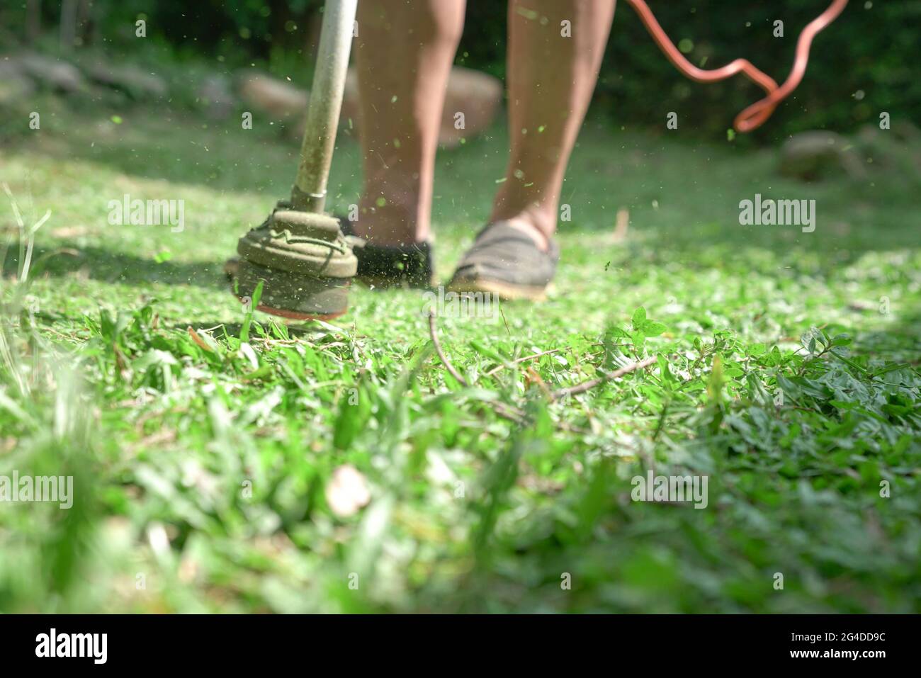 Taglio dell'erba. Uomo che usa il tagliaerba elettrico per falciare il prato. Sfocato, con spazio per la copia. Foto Stock