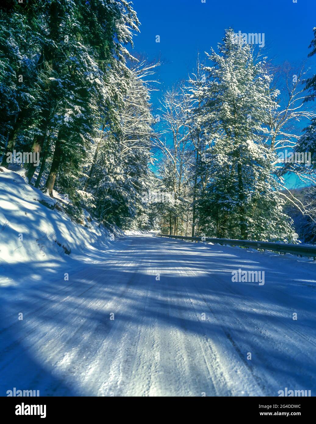 VUOTA STRADA COPERTA DI NEVE PENNSYLVANIA USA Foto Stock