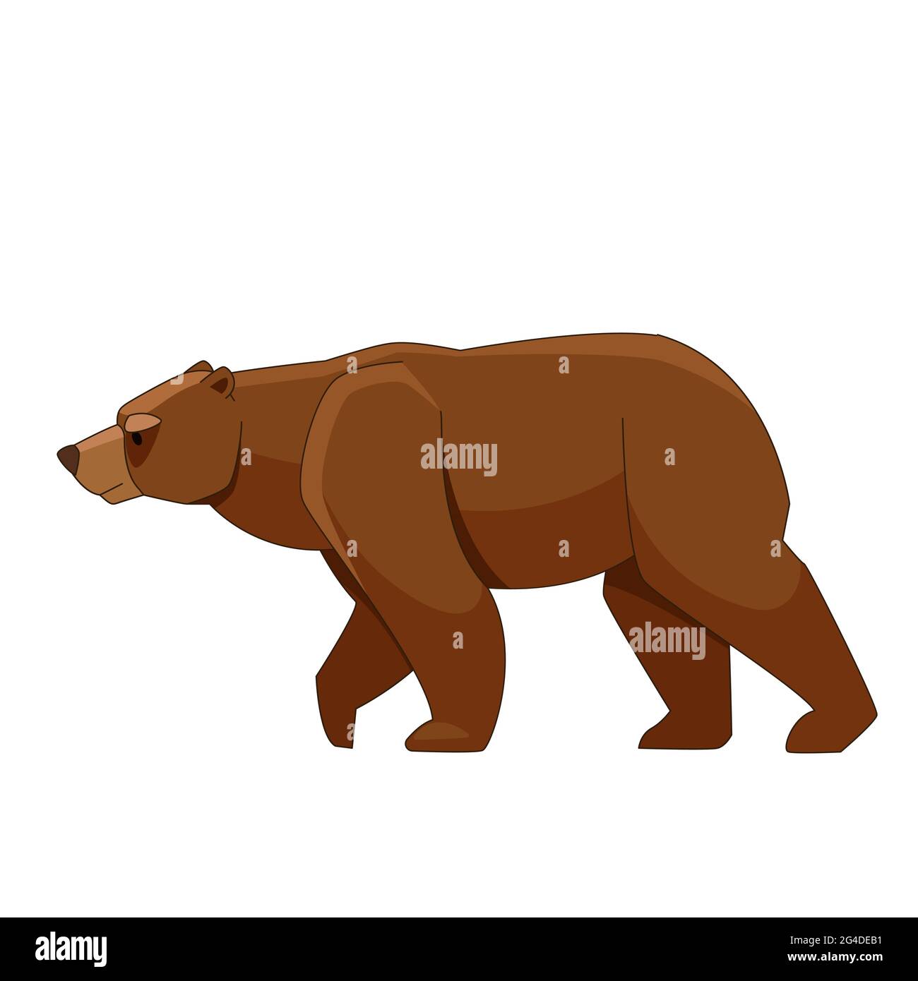 Orso bruno a piedi libero. Illustrazione piatta vettoriale cartoon isolata su sfondo bianco Illustrazione Vettoriale