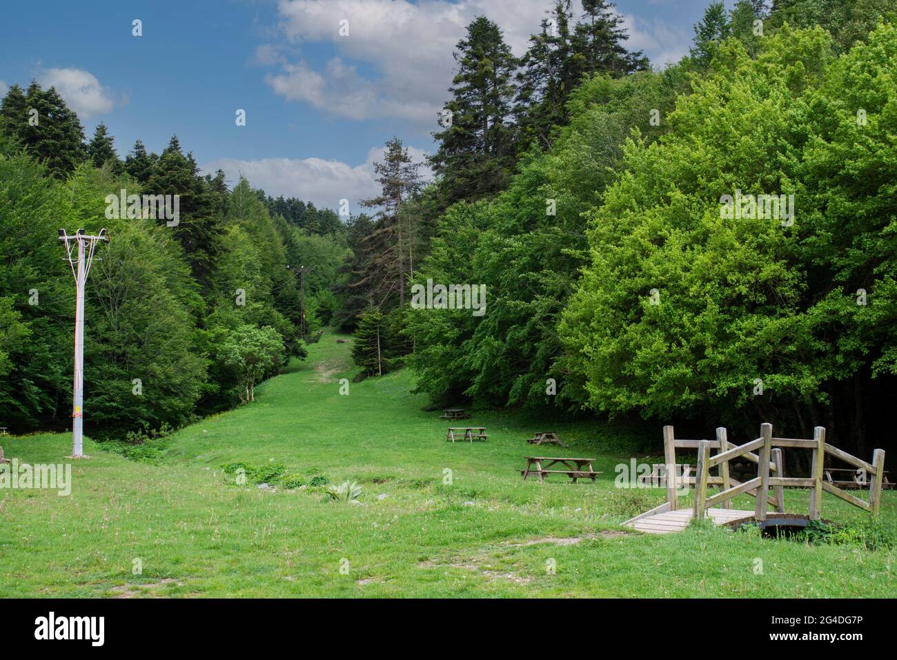 Bolu, presso il lago Abant, tavoli da picnic nel prato e una magnifica vista sulla foresta dietro di esso Foto Stock