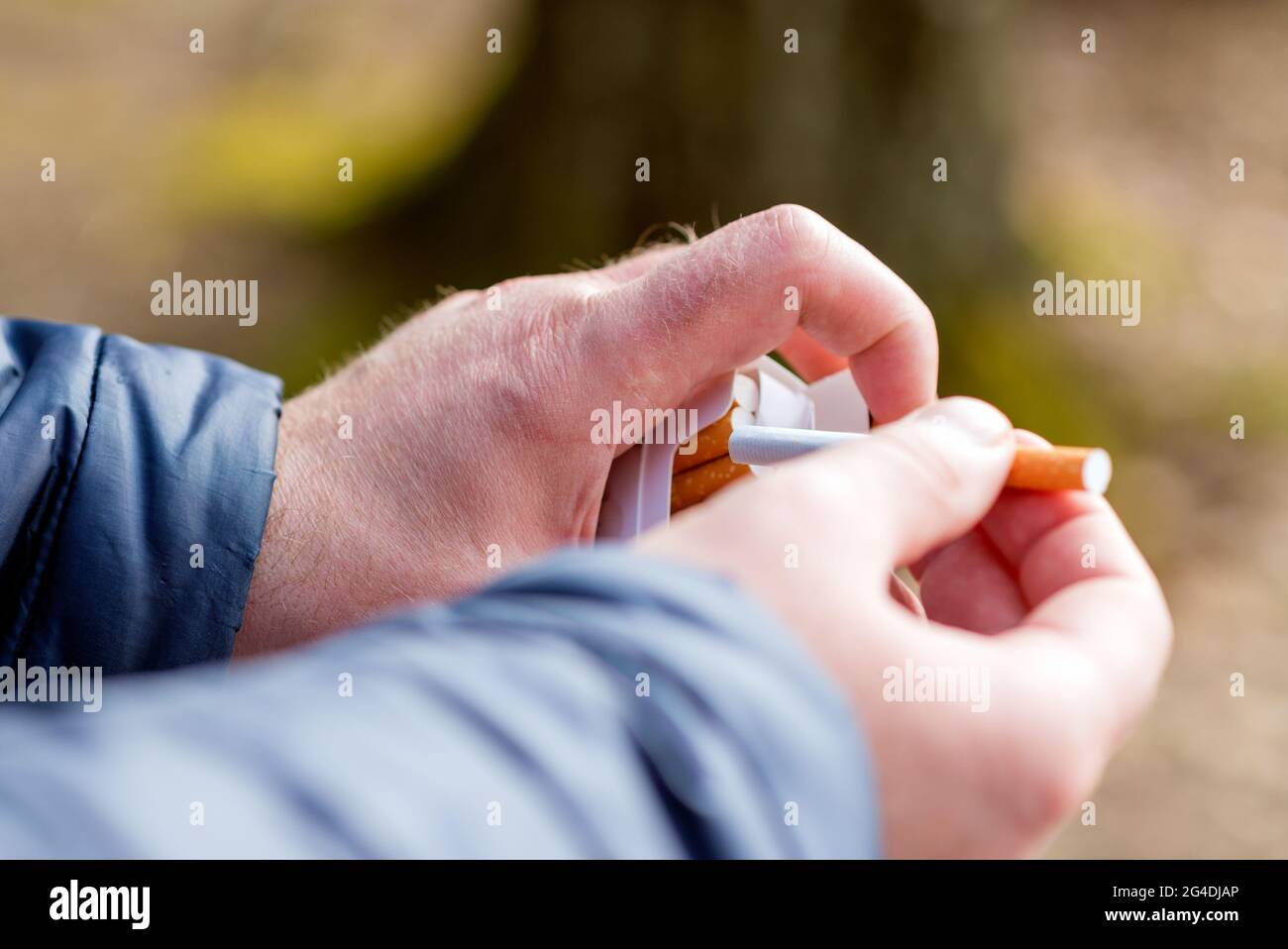 Mano della persona del closeup prenda una sigaretta dal cartone sigarette pacchetto box.Outdoor colpo. Foto Stock