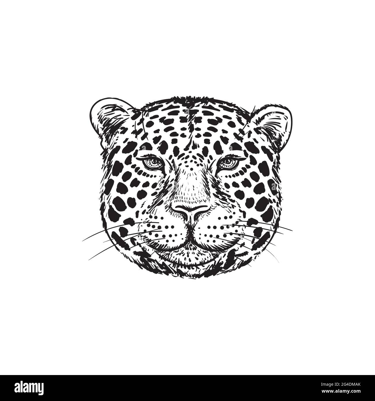 Disegno a mano di una faccia di Leopard con illustrazione isolata su sfondo bianco. Ritratto di Jaguar. Cute faccia soffice di Big Cat.Beast logo.Predator testa di schizzo. Illustrazione Vettoriale