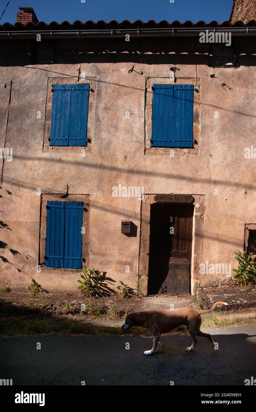 Cane a piedi oltre Maison Phyliss, Pont de Cirou al confine del Aveyron e Tarn, Francia Foto Stock