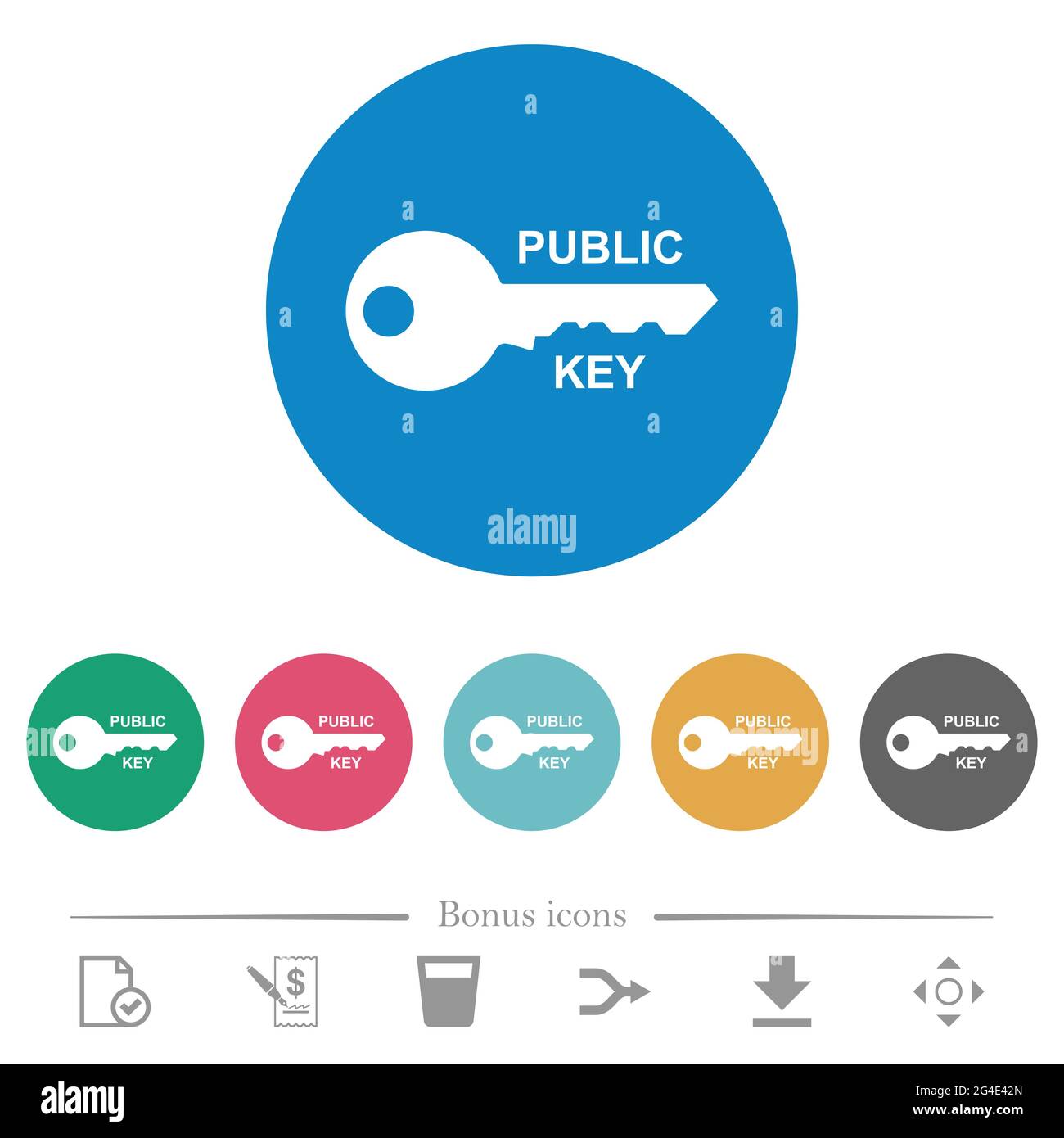 Icone bianche piatte con chiave pubblica su sfondi rotondi. 6 icone bonus incluse. Illustrazione Vettoriale