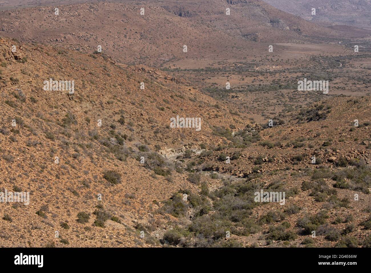 Parco Nazionale di Karoo Beaufort Ovest Capo Sud Africa Foto Stock