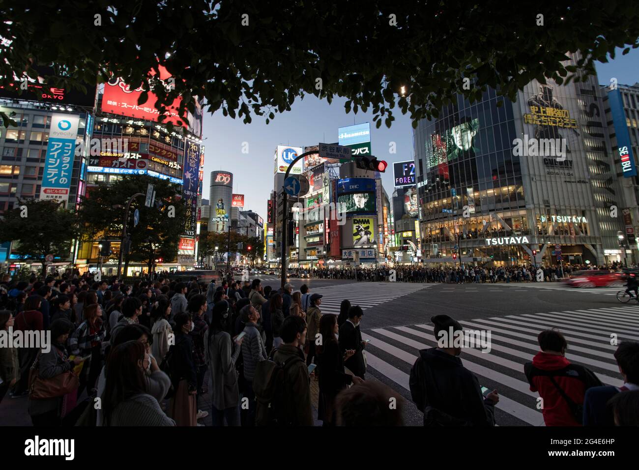 Persone al Shibuya Scramble Crossing a Tokyo, Giappone Foto Stock