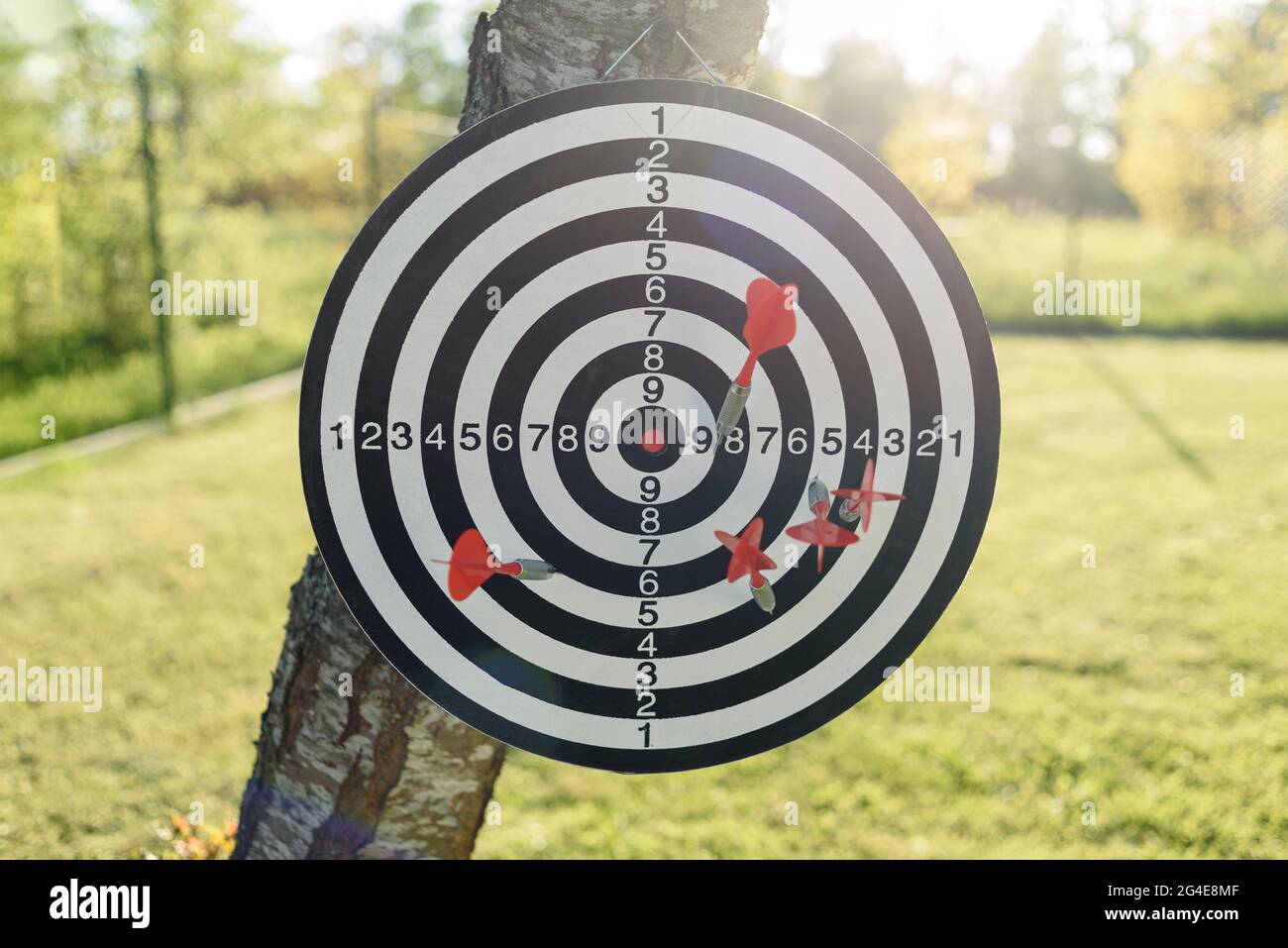 Bersaglio rotondo di freccette con frecce o missili su albero a cortile Foto Stock