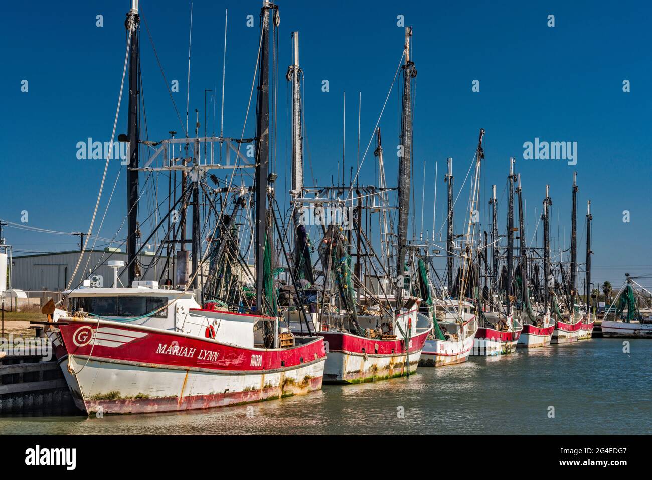 Barche di gamberi al porto di Palacios, Texas, Stati Uniti Foto Stock