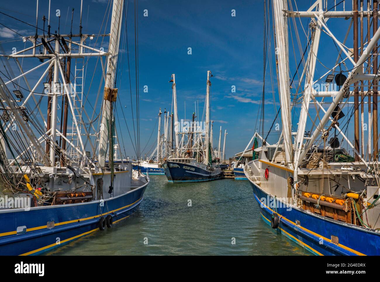 Barche di gamberi al porto di Palacios, Texas, Stati Uniti Foto Stock