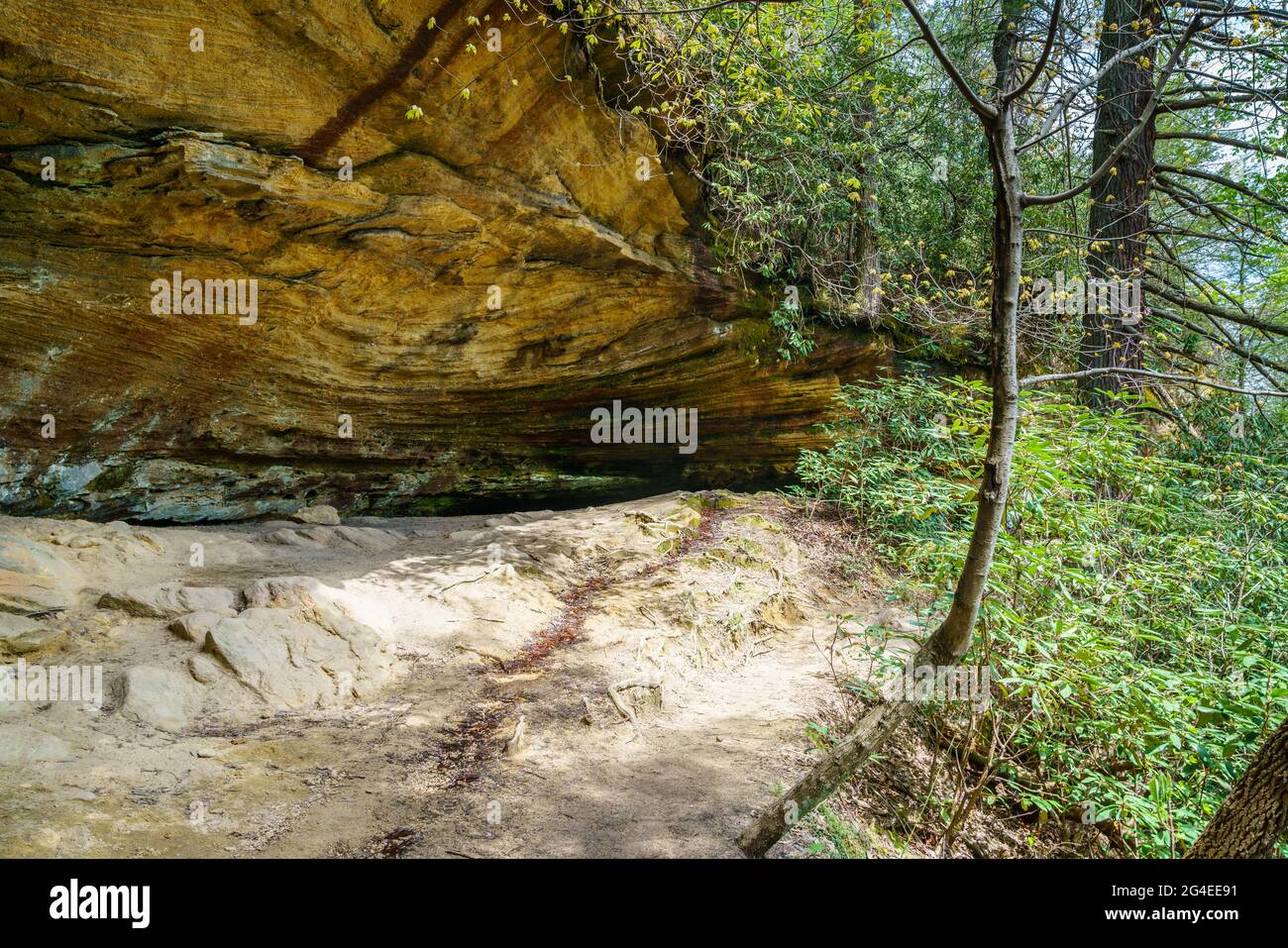 Formazioni di arenaria trovate in Red River Gorge in Kentucky Foto Stock