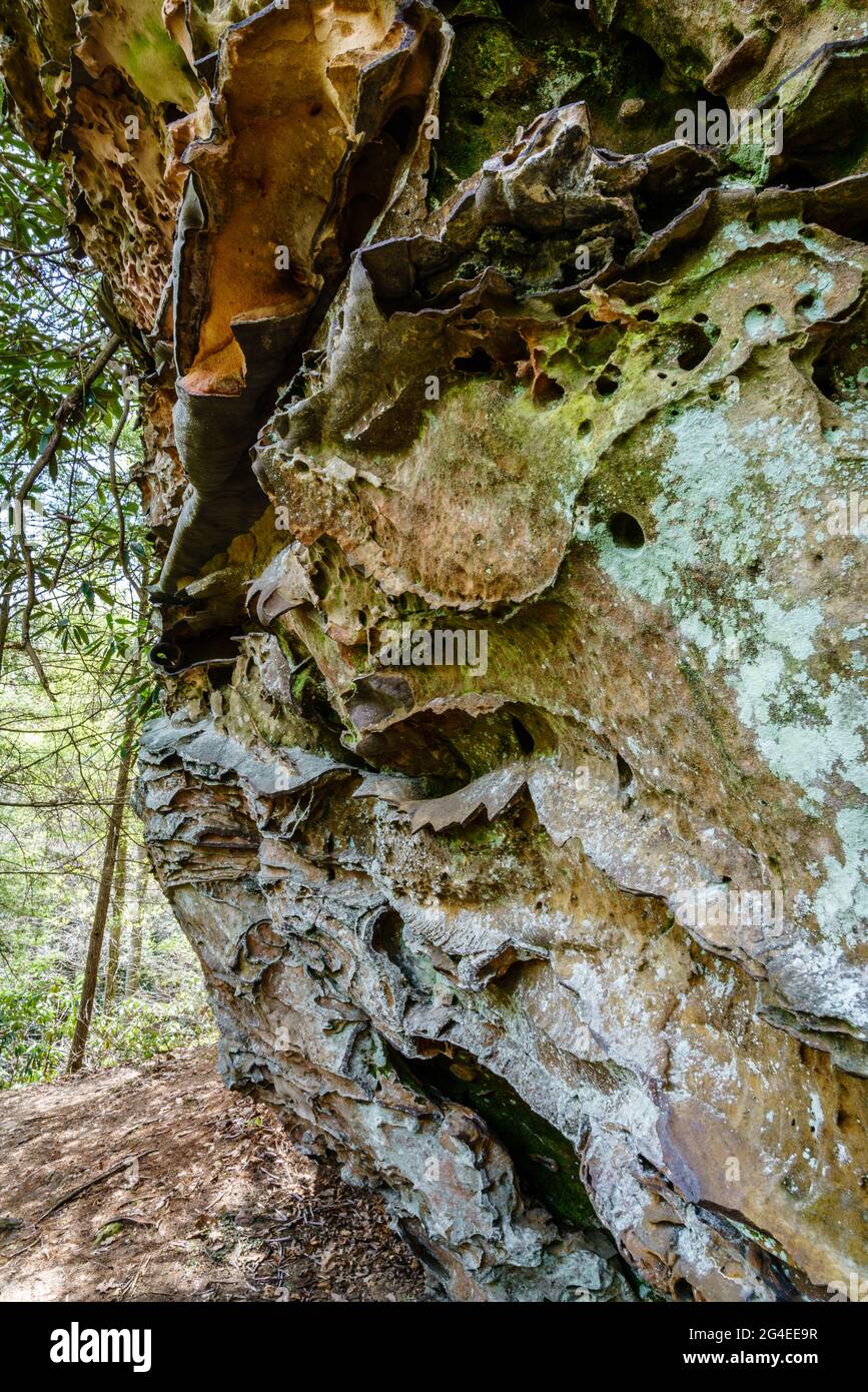 Formazioni di arenaria trovate in Red River Gorge in Kentucky Foto Stock