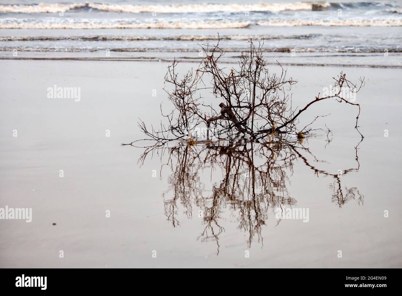 Vita da spiaggia in India durante il Monsone Foto Stock