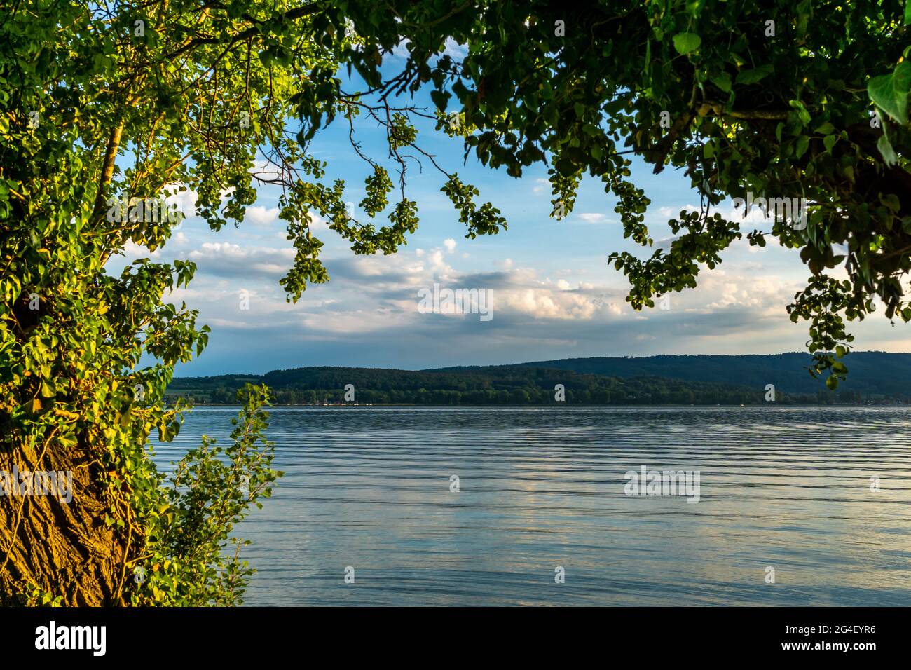 Vacanze al bellissimo lago di Costanza Radolfzell Mettnau Foto Stock