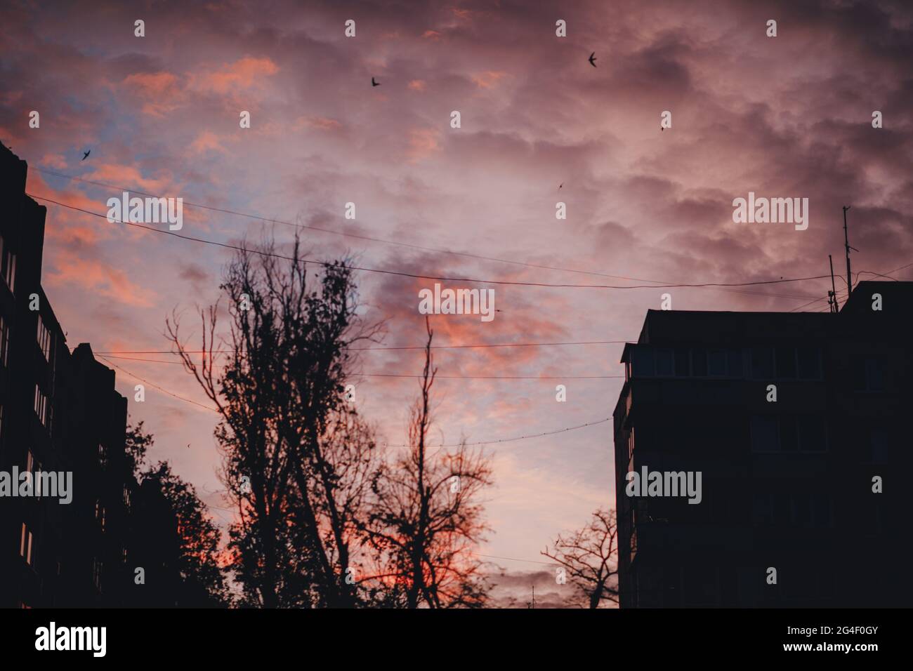 bellissimo cielo luminoso prima del tramonto con le nuvole Foto Stock