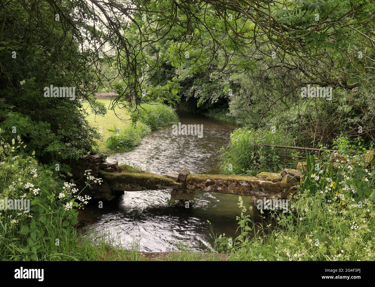 Il fiume Windrush che scorre sotto un ponte di pietra rustico nelle colline Cotswold in Gloucestershire, Regno Unito Foto Stock