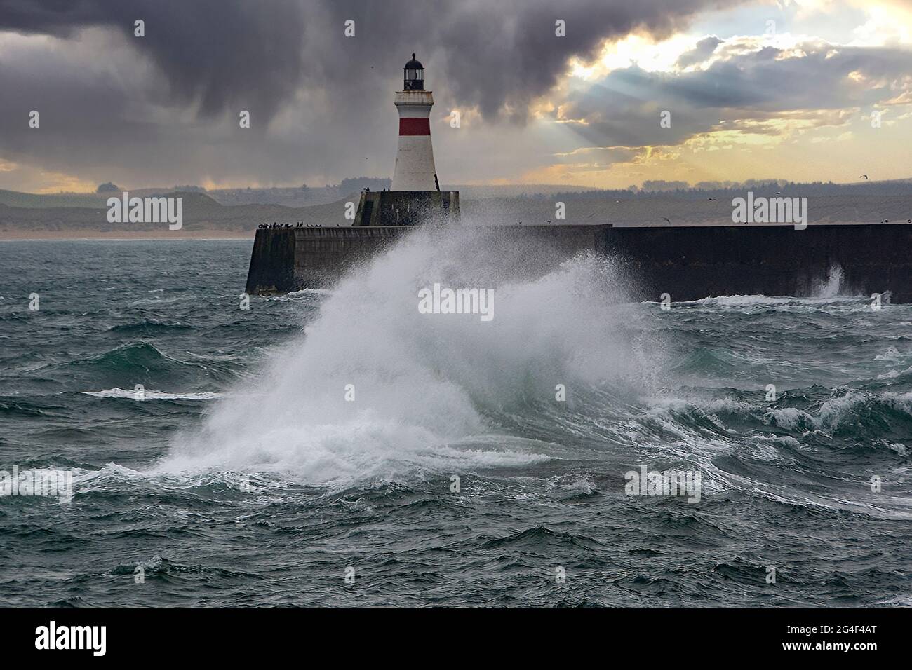 Misty e tempesta giornata al faro di Fraserburgh Harbor, Aberdeenshire, Scozia Regno Unito Foto Stock
