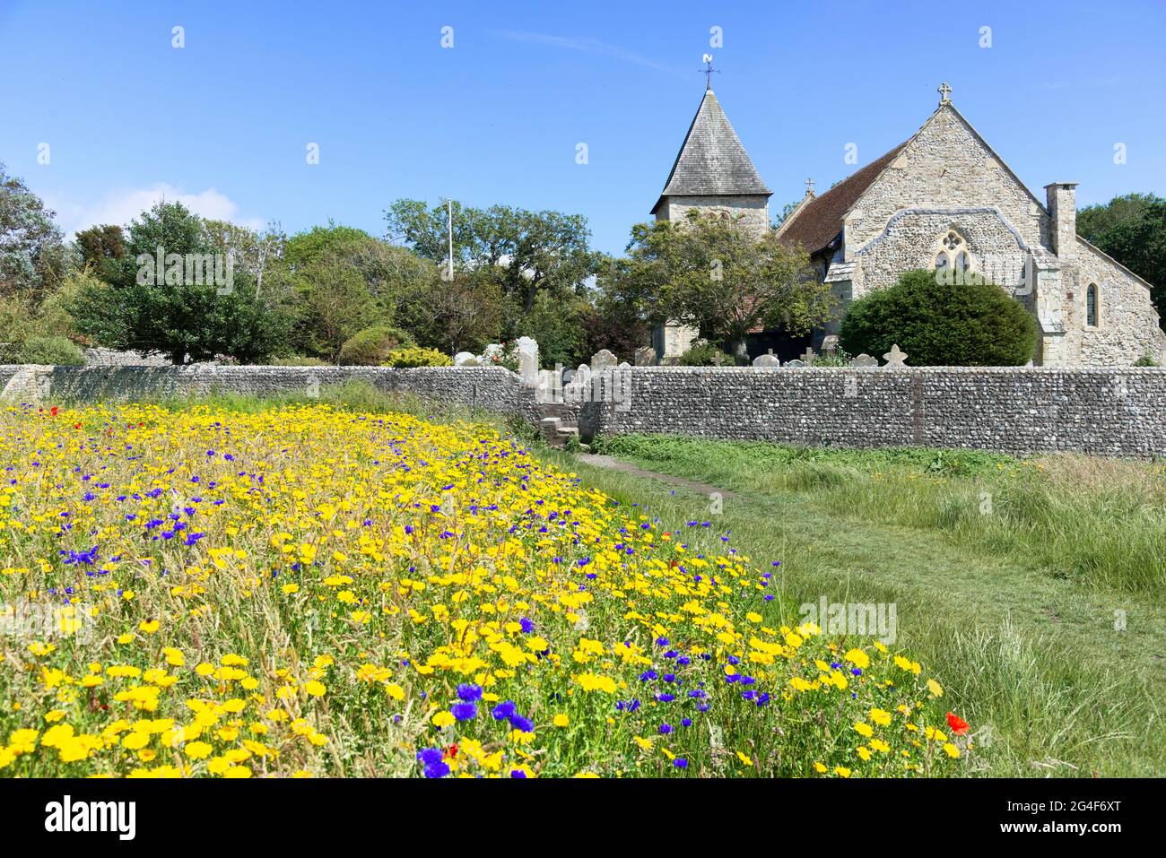 Prato di Wildflower in piena fioritura in un campo accanto alla chiesa parrocchiale di San Pietro e San Paolo, West Wittering, Chichester, West Sussex, Inghilterra Foto Stock