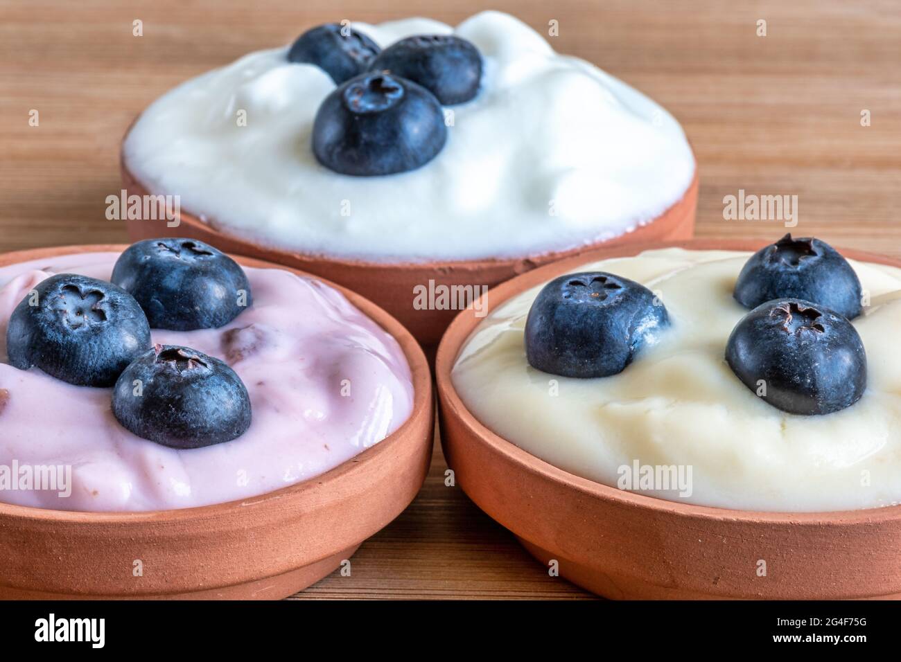 Varietà di yogurt con mirtilli. Concetto di alimentazione sana Foto Stock