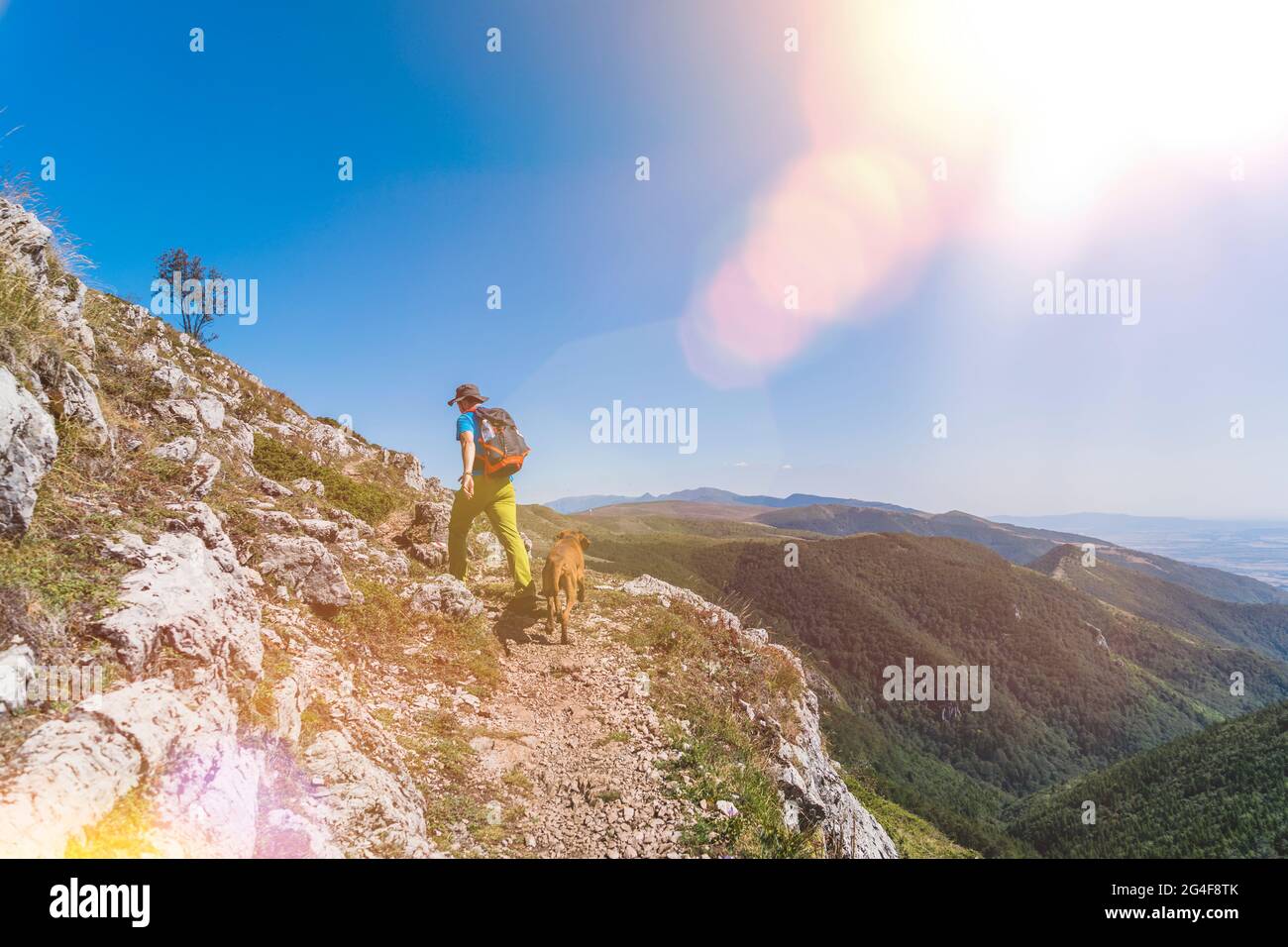 Uomo con il cane vizsla ungherese che cammina sul sentiero di montagna in Bulgaria Foto Stock
