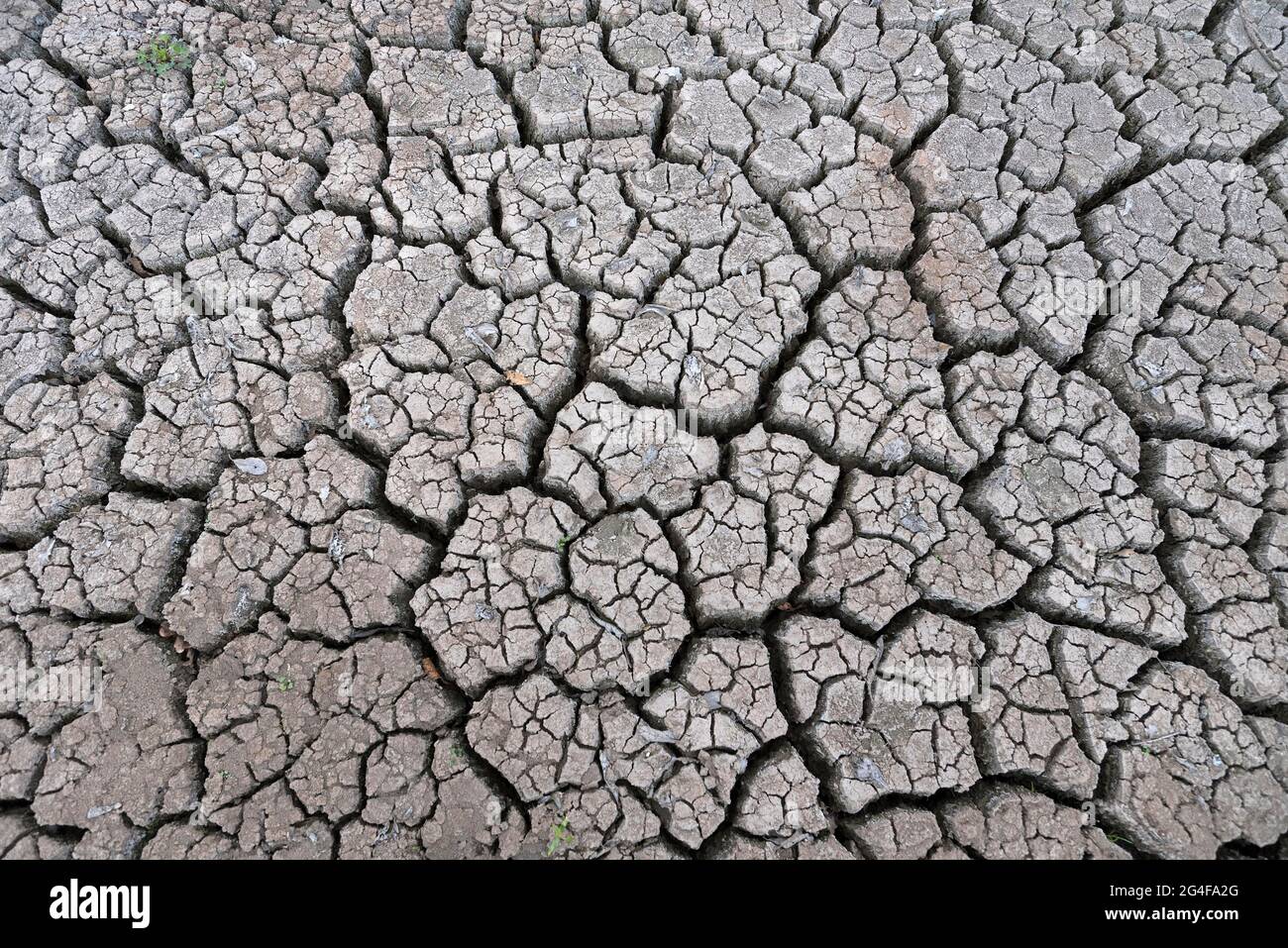 Terra di paglia, Germania Foto Stock